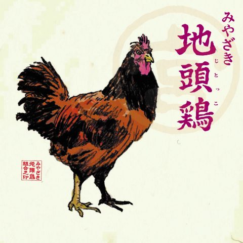 みやざき地頭鶏